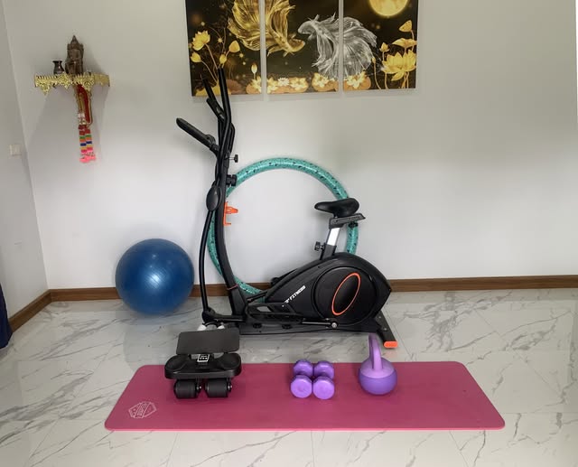 Exercise area